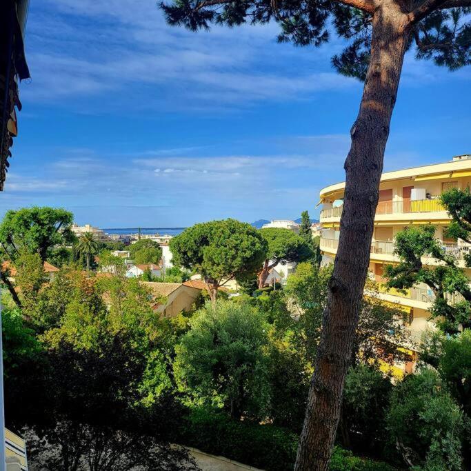 Grand Studio Localisation Ideale Antibes Exterior photo